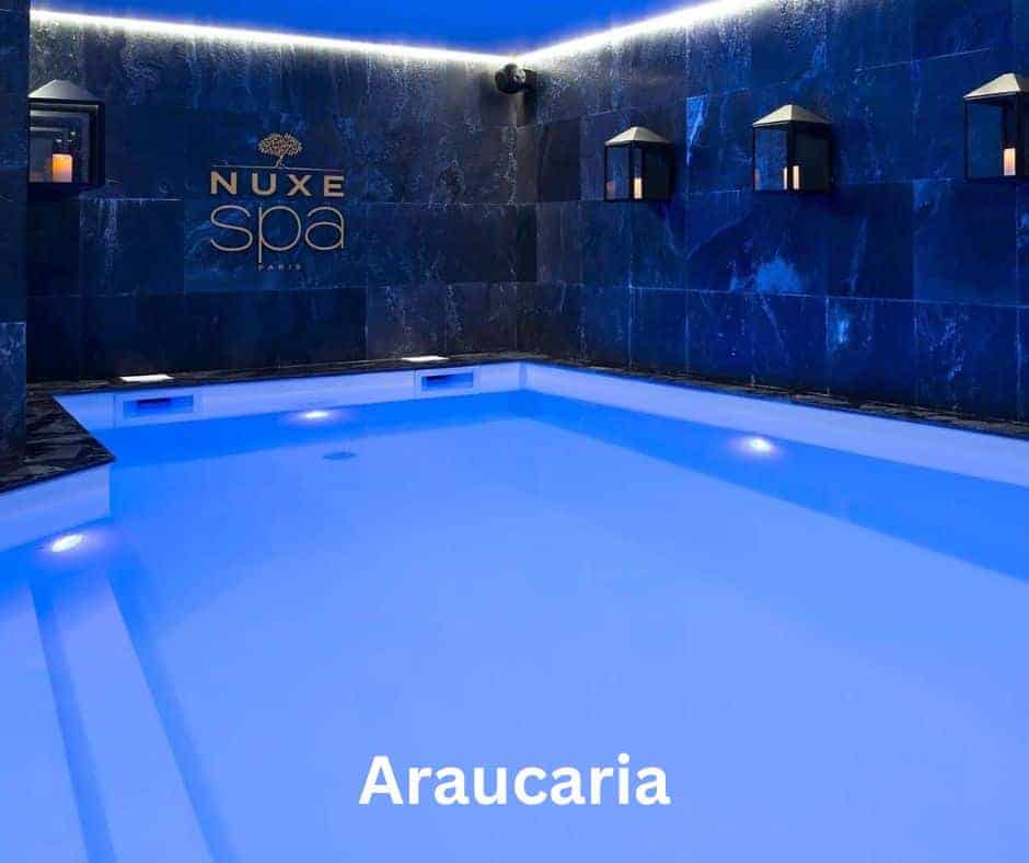 Hotel Araucaria - La Plagne Swimming Pools