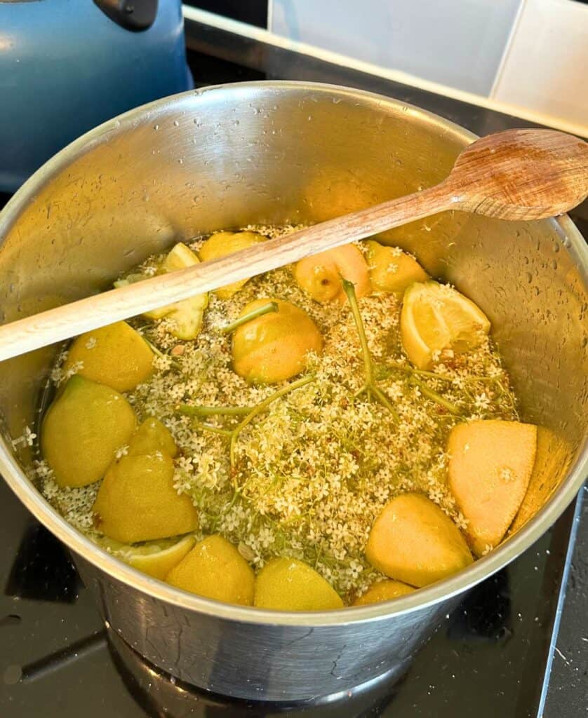 la plagne elderflower recipes. traditional French recipes