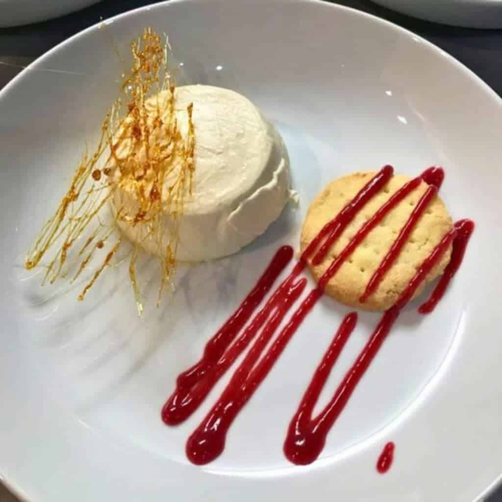 Gourmet Dessert Plate from Will I Ski La Plagne– A beautifully plated dessert featuring a creamy panna cotta, a shortbread cookie, and delicate caramelized sugar decoration, with raspberry sauce drizzled artistically on the plate.