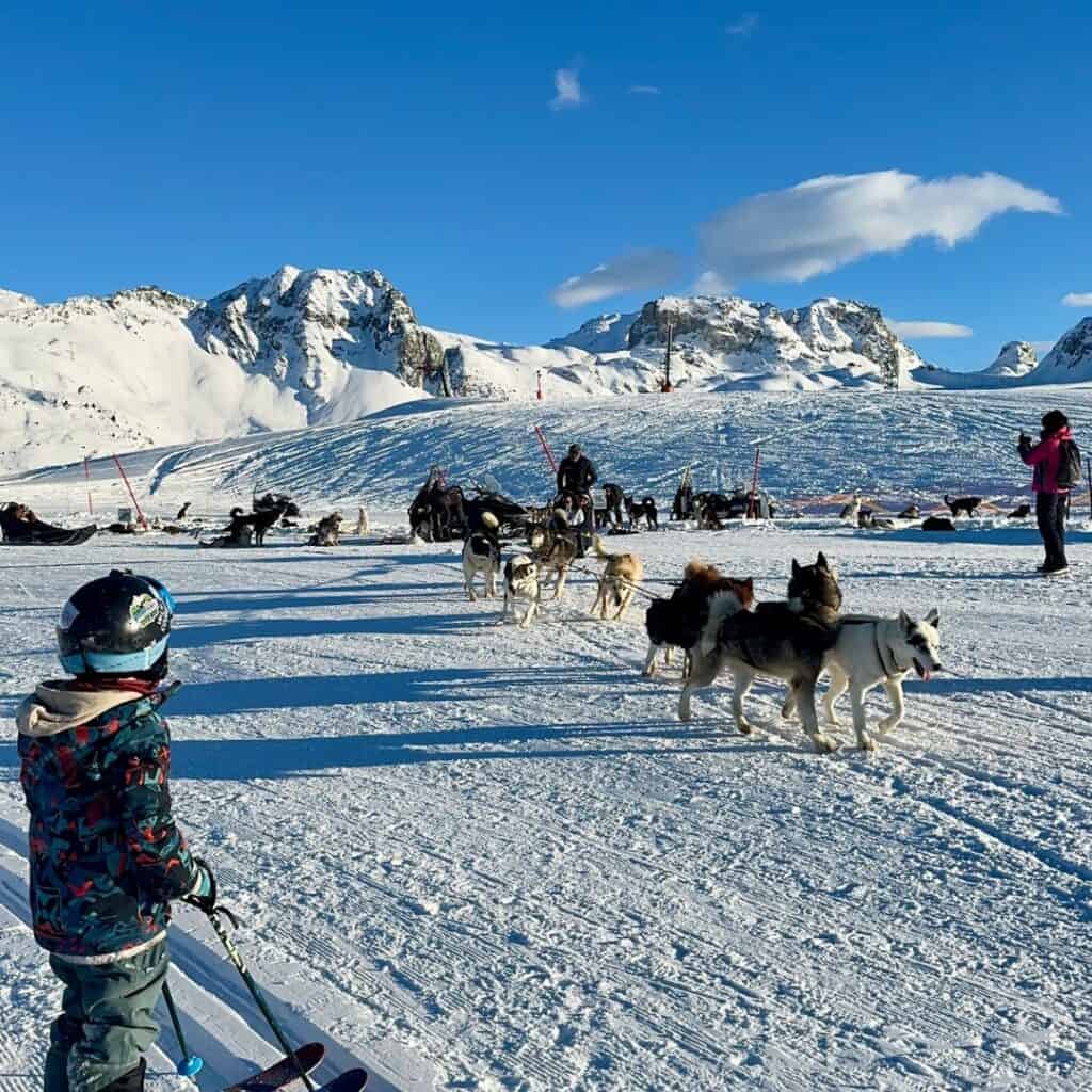 A child in ski gear watches a team of huskies preparing for a dog sledding experience on a snowy plateau with mountain peaks in the distance.