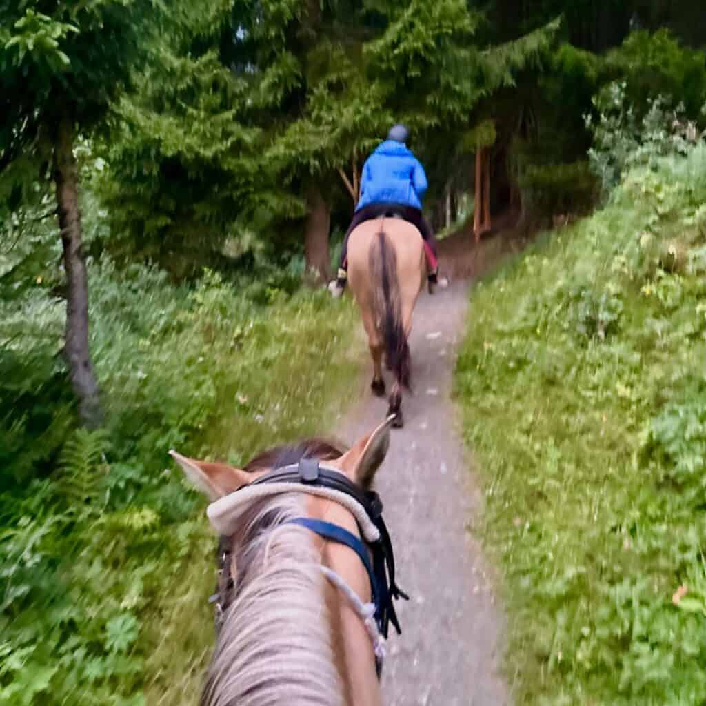 View from horseback following another rider through a narrow forest trail in La Plagne. The path is lined with lush greenery and tall trees, creating an immersive trail riding experience.
