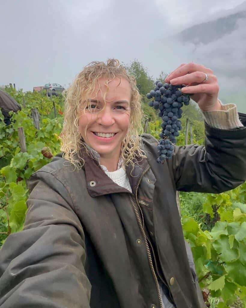 Smiling woman with curly blonde hair in a raincoat holding a freshly picked bunch of dark grapes in a vineyard in La Plagne, surrounded by lush green vines on a misty day.