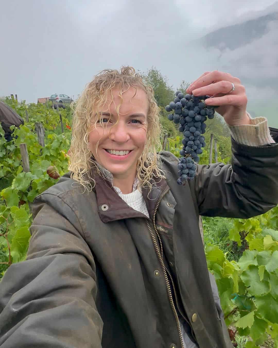 Smiling woman with curly blonde hair in a raincoat holding a freshly picked bunch of dark grapes in a vineyard in La Plagne, surrounded by lush green vines on a misty day.