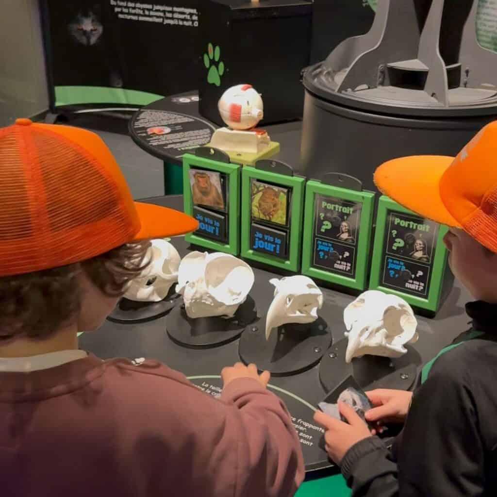 Kids examining animal skull displays with signs that read "Je vis le jour" and "Portrait". Interactive science exhibit in Chambéry perfect for a family day trip French Alps.