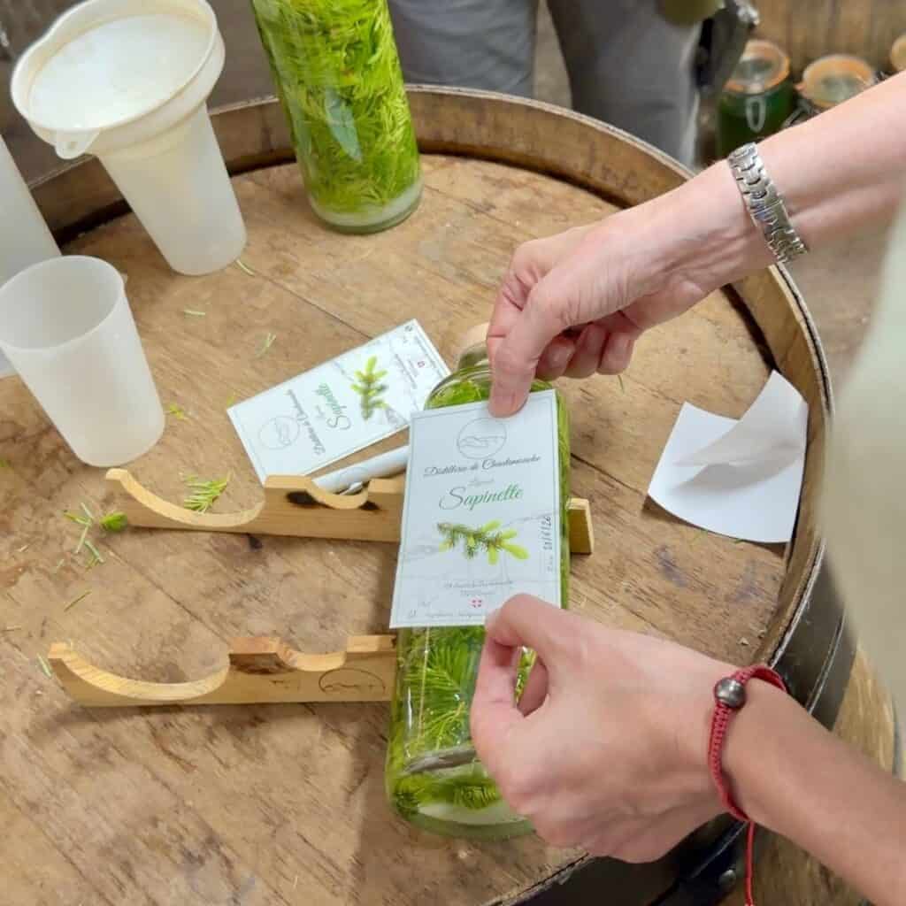 Applying the Sapinette label to a bottle of homemade fir shoot liqueur during a distillery workshop in Granier.