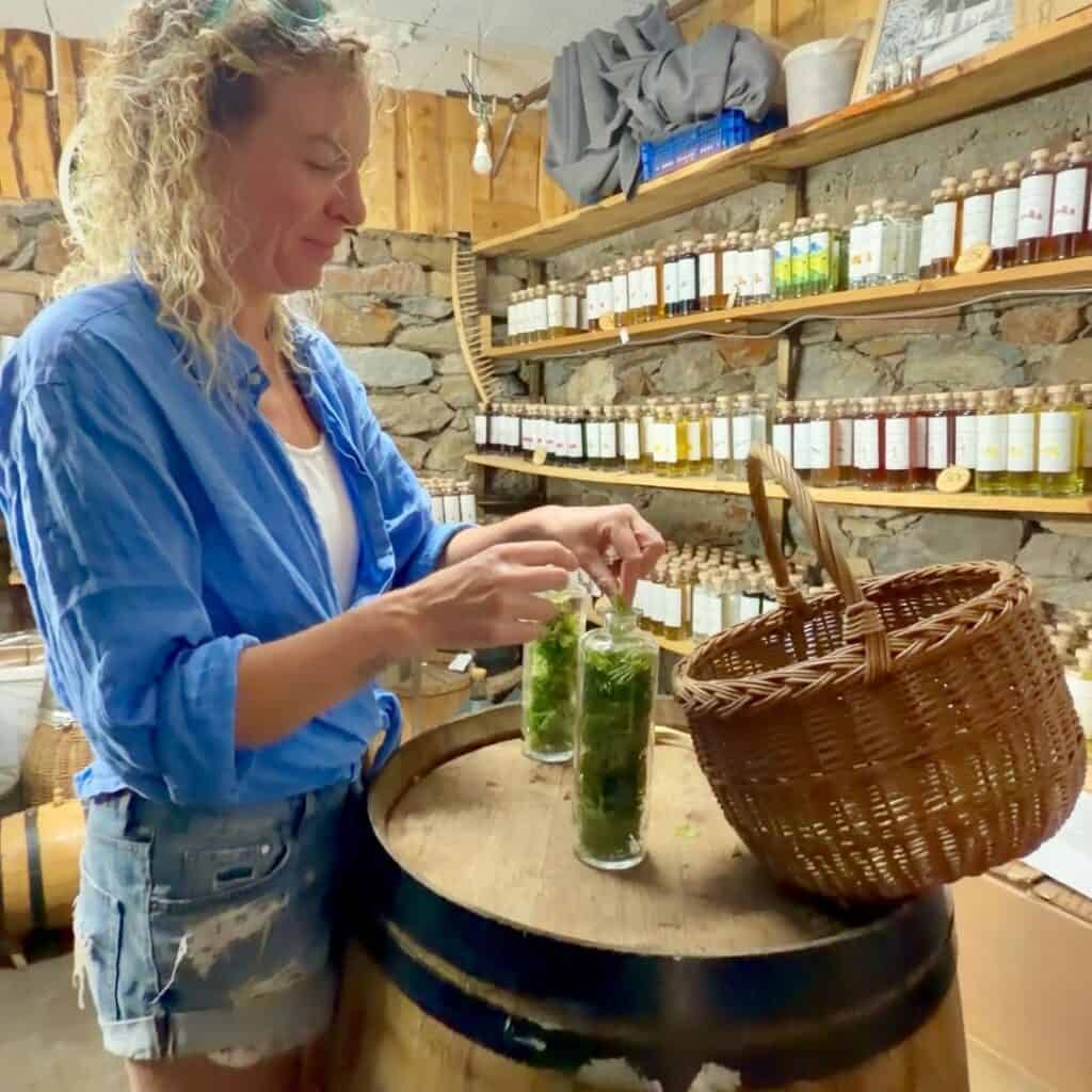 Participant filling bottles with freshly harvested fir shoots at Distillerie de Chantemouche.