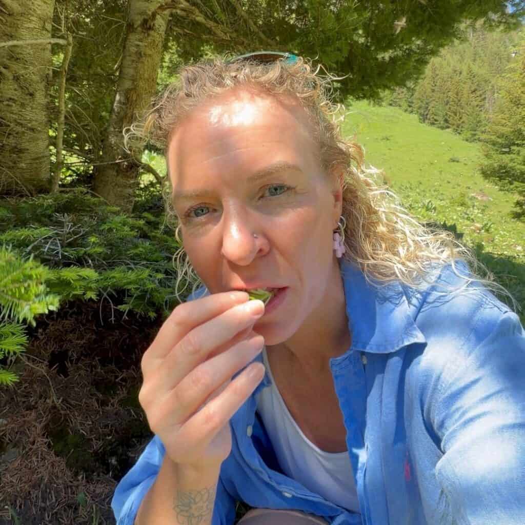 Visitor tasting a freshly picked fir shoot during a foraging experience above Granier near La Plagne.