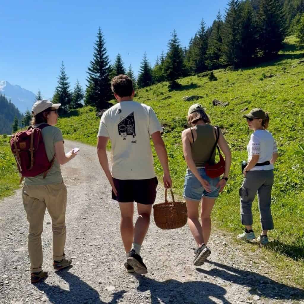 Visitors walking along a mountain track above Granier during a seasonal foraging experience near La Plagne.