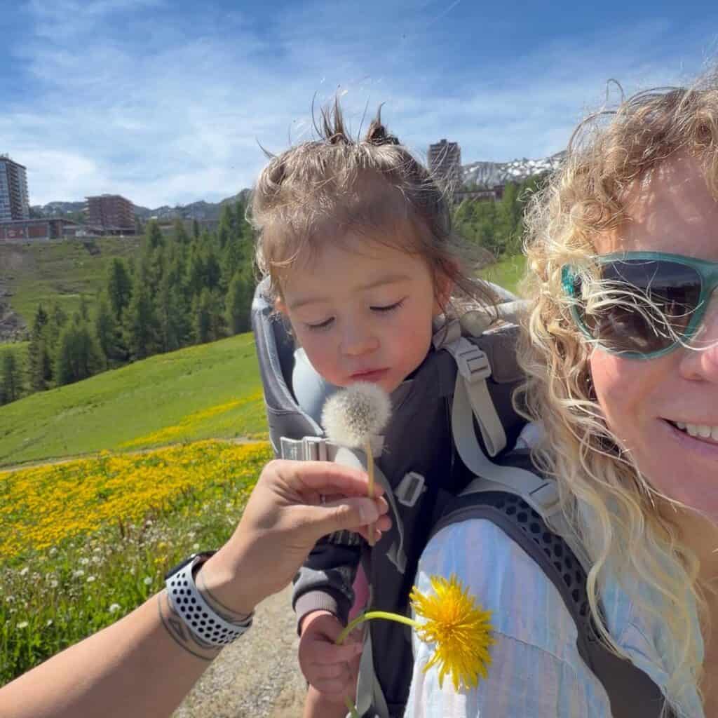 Toddler riding in a hiking carrier smells a dandelion while walking through alpine wildflowers near La Plagne. Green mountain slopes, forest and distant peaks create a scenic setting for a family summer hike.
